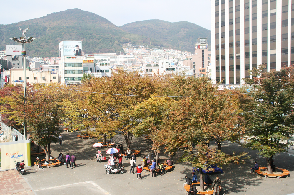 autumn in busan