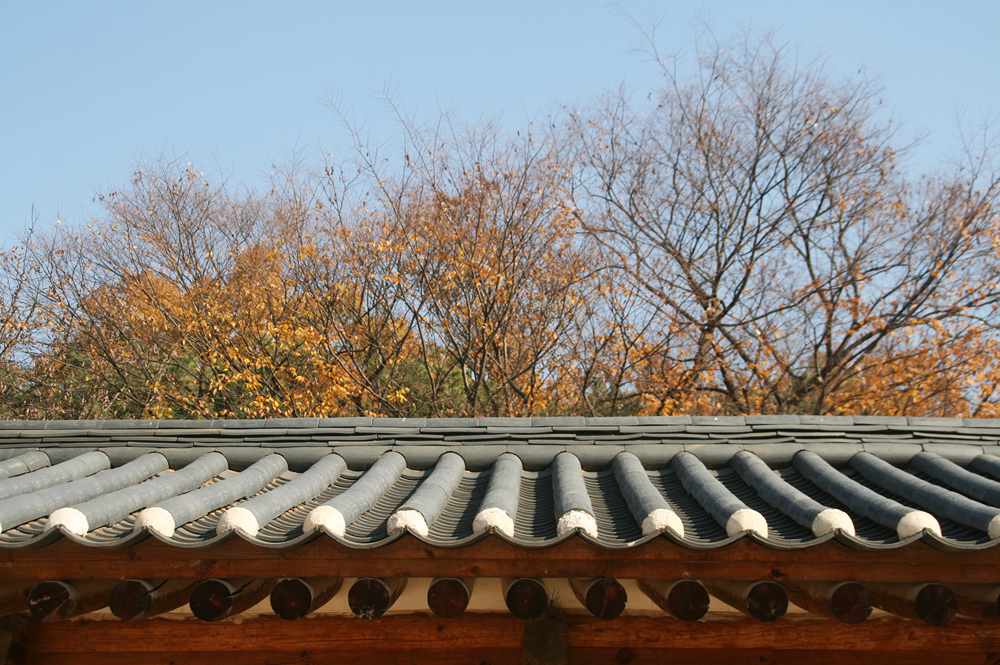 autumn in seoul korea gyeongbokgung
