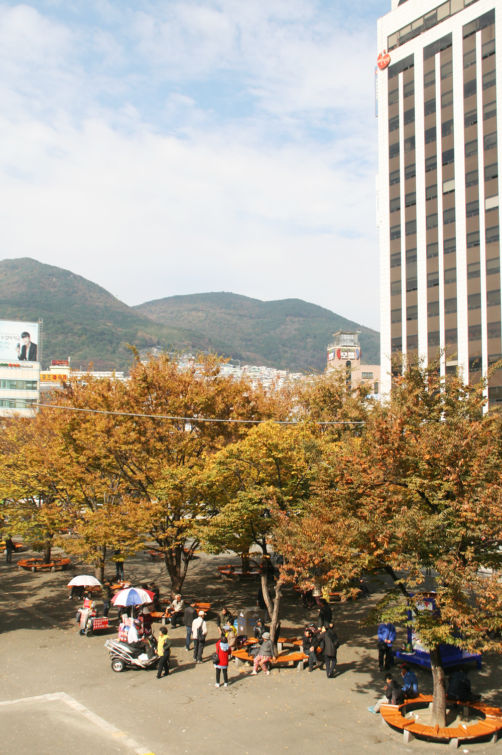 fall foliage korea busan