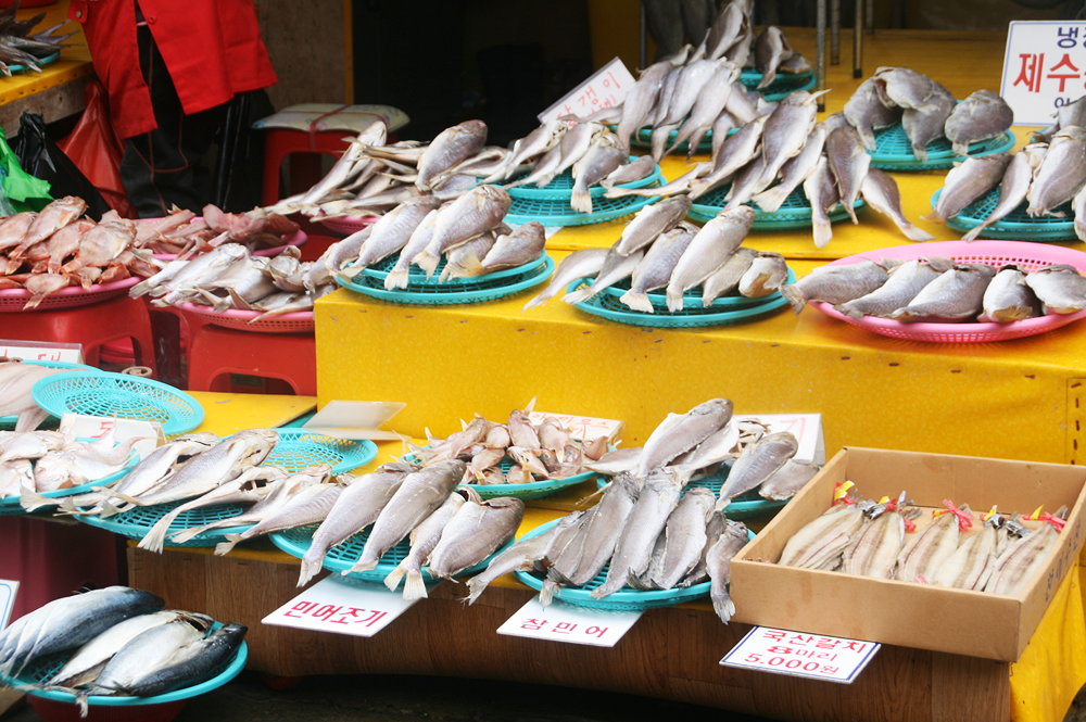 jagalchi fish market busan 6