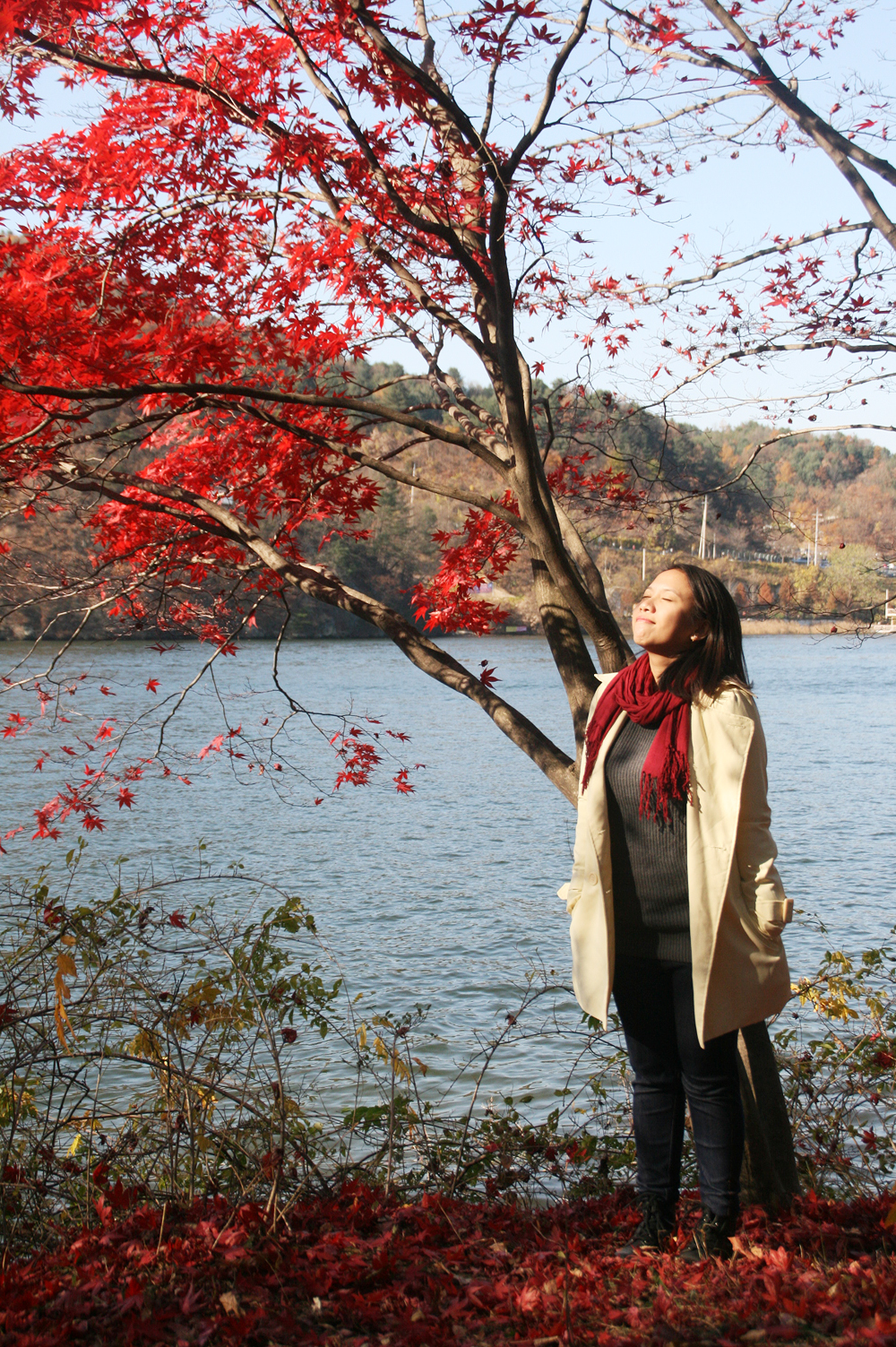 autumn in korea nami island