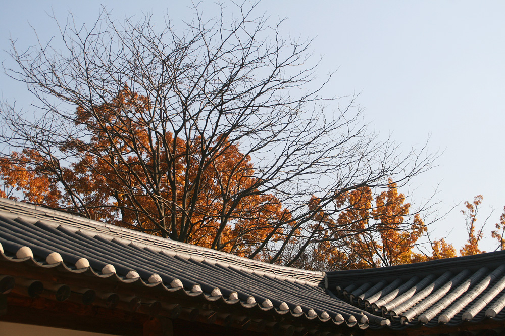 autumn gyeongbokgung 2014