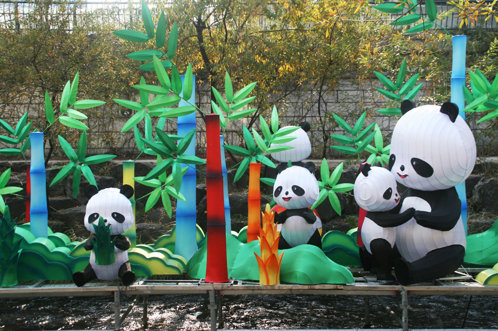 panda lanterns