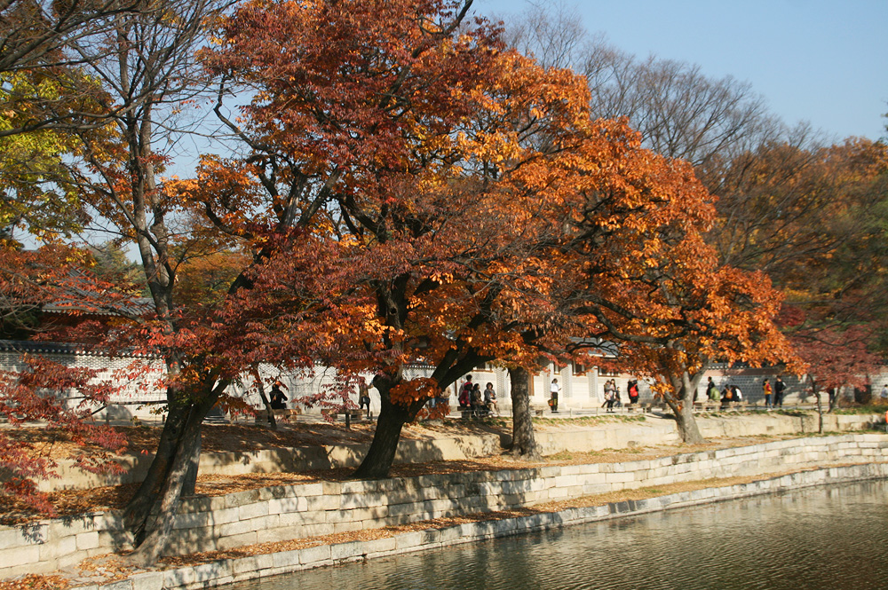 riverbanks gyeongbokgung