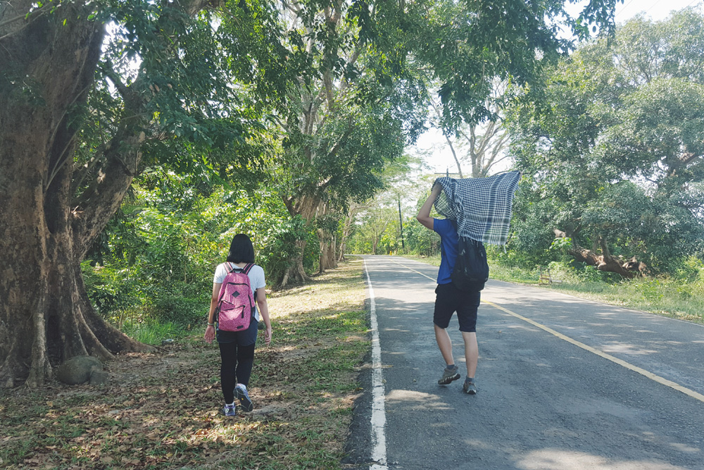 mt. samat trail